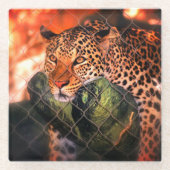 Jaguar Glazen Onderzetter (Voorkant)