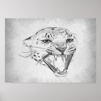 Jaguar - Graphic Drawing Poster