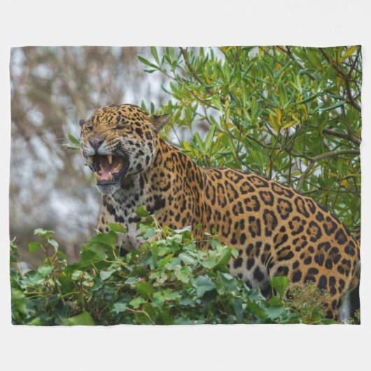 Jaguar Growl Fleece Deken (Voorkant (Horizontaal))