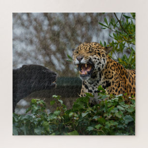Jaguar Growl Legpuzzel