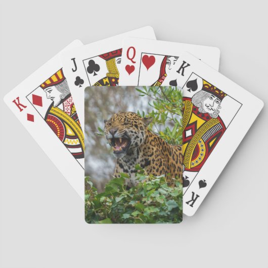 Jaguar Growl Pokerkaarten (Achterkant)