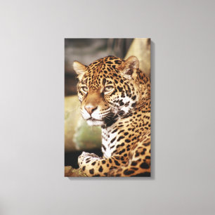 Jaguar in doek gewikkeld canvas afdruk