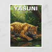 Jaguar in Yasuni Nationaal Park Ecuador Briefkaart (Voorkant)