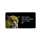 Jaguar Labels (Voorkant)