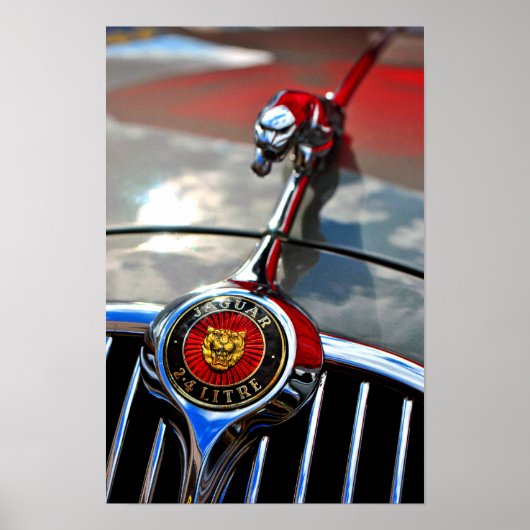 Jaguar Leaper Leaping Cat Poster (Voorkant)