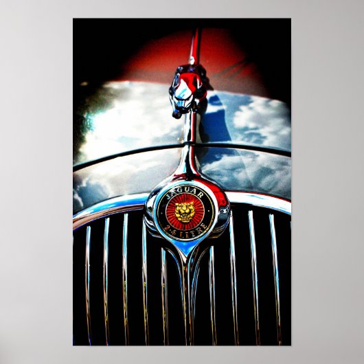 Jaguar Leaper Leaping Cat Poster (Voorkant)