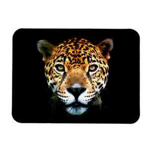 Jaguar Magneet