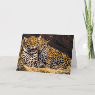 Jaguar Mom & Cub Wenskaart Kaart