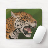 Jaguar Muismat (Met muis)