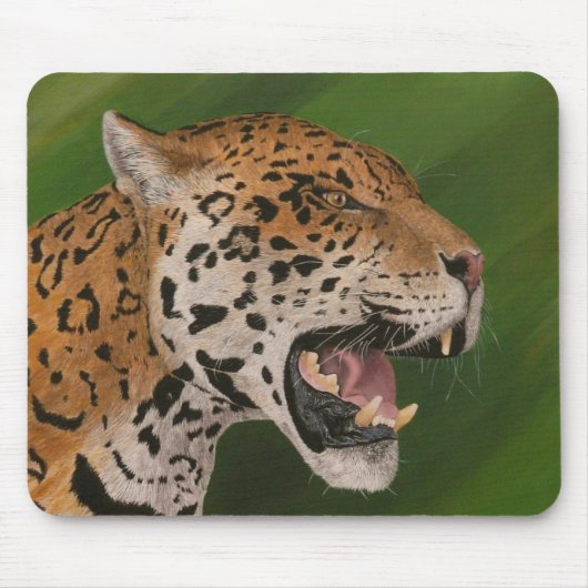 Jaguar Muismat (Voorkant)