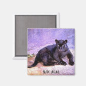 Jaguar noir, aimant (Recto/Verso)