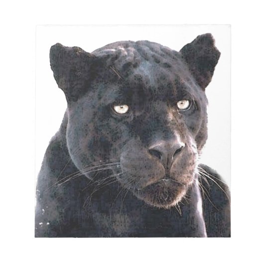 Jaguar Notitieblok (Voorkant)