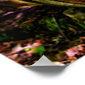 Jaguar Old Car  Poster (Hoek)