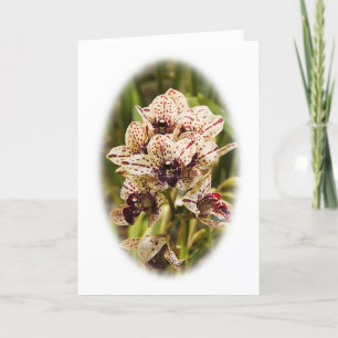 Jaguar Orchid wenskaart Kaart