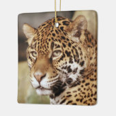 Jaguar Ornament (Links)