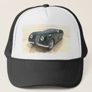 Jaguar pet