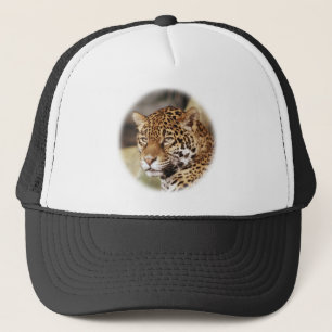 Jaguar Pet