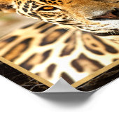 Jaguar Photo Afbeelding Print Poster (Hoek)