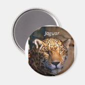 Jaguar photomagnet magneet (Voorkant / Achterkant)