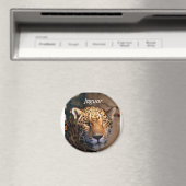 Jaguar photomagnet magneet (Insitu (Vaatwasser))