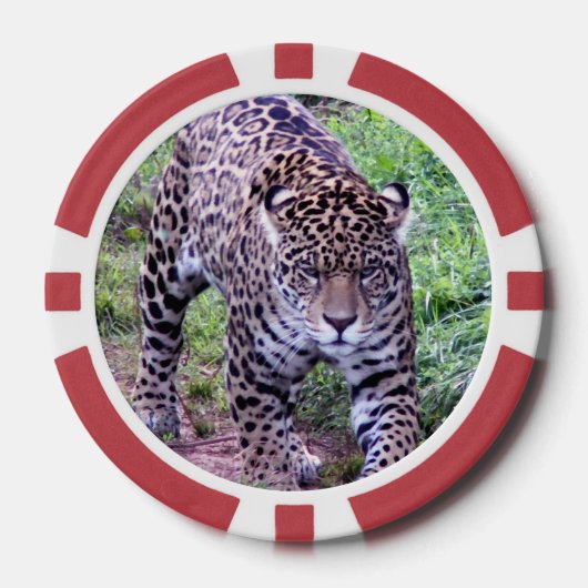 Jaguar Poker Chips (Voorkant)