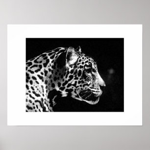 Jaguar Pop Art Poster Print - Jaguar Posters