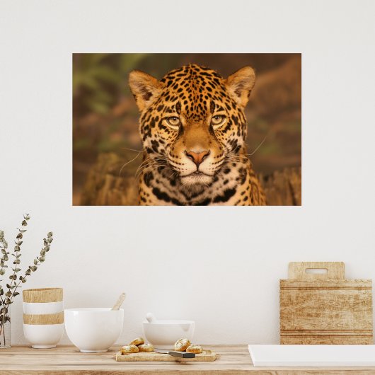 Jaguar Poster (Keuken)