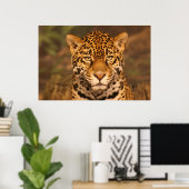Jaguar Poster (Thuiskantoor)