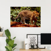 Jaguar Poster (Thuiskantoor)