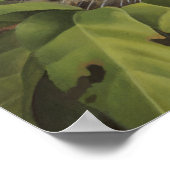 Jaguar Poster (Hoek)