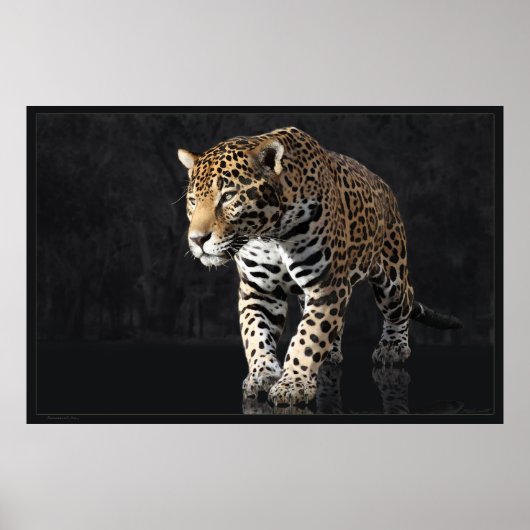 Jaguar Power 2-60x40 - andere formaten beschikbaar Poster (Voorkant)