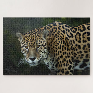 jaguar puzzel
