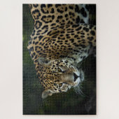 jaguar puzzel (Verticaal)