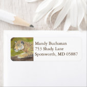 Jaguar retouradres label (Insitu)