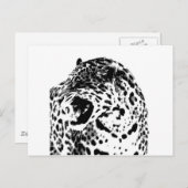 Jaguar Roaring Briefkaart (Voorkant / Achterkant)
