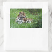 Jaguar sticker (Tas)