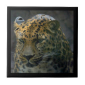 Jaguar Tegeltje (Voorkant)