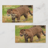 Jaguar Visitekaartje (Voorkant / Achterkant)