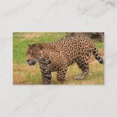 Jaguar Visitekaartje (Achterkant)