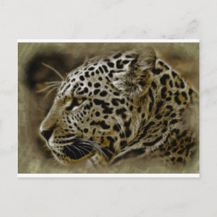 Jaguar wilde kat spot Afrikaanse safari bestemming Briefkaart