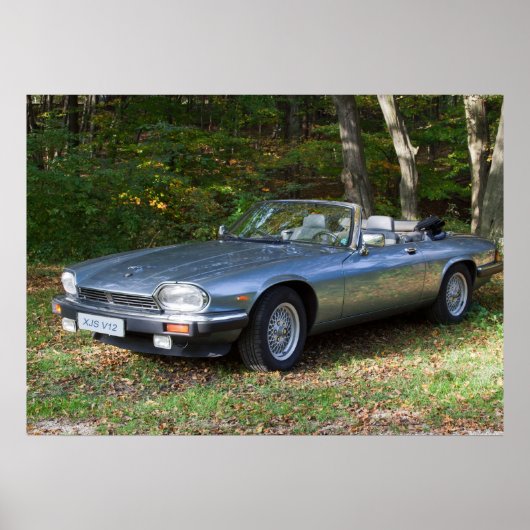 Jaguar XJS V12 Cabriolet Poster (Voorkant)