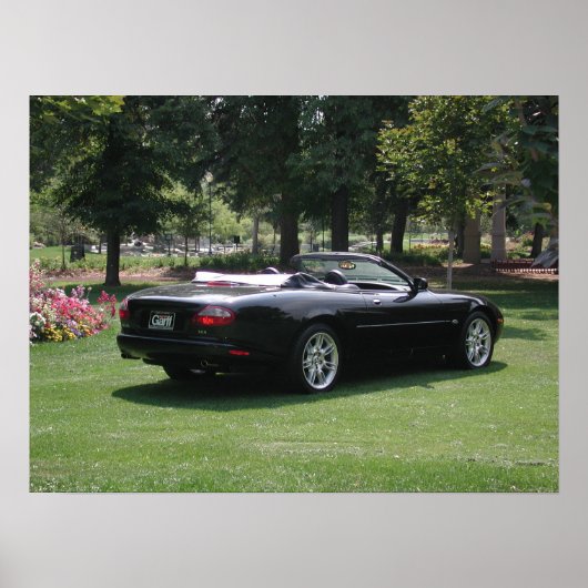 Jaguar XK8 Convertible Poster (Voorkant)