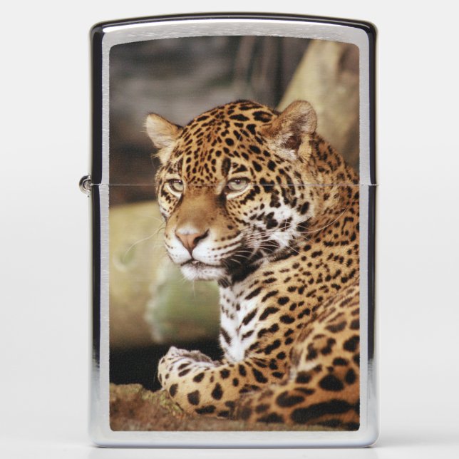 Jaguar Zippo lichter (Voorkant)