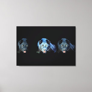 Jaguar - Zwart Panter Verpakt Canvas - 3 Canvases Afdruk