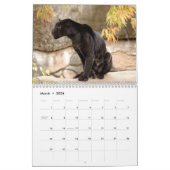 Jaguars Calendar Kalender (Mar 2026)