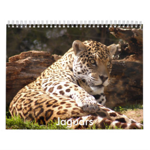 Jaguars Calendar Kalender