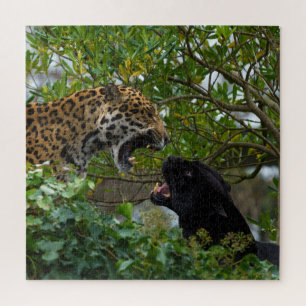 Jaguars in Love Legpuzzel