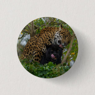 Jaguars in Love Silver Ronde Button 3,2 Cm