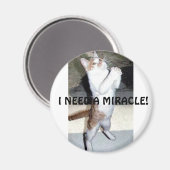 J'AI BESOIN D'UN MIRACLE ! MAGNET (Recto/Verso)