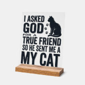 J'ai demandé à Dieu un véritable ami Mon chat desi (Angle)